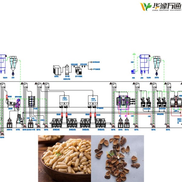 巴基斯坦松子脫殼成套設(shè)備